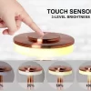 Metal LED Table Lamp, LED Lamp With Touch Control | Decorative Desk Lamp, Portable , USB Rechargeable, 3 Color, 3 Levels Brightness, Dimmable Eye Protection Modern Lamp For Home Decor Party Kids Room Bedroom - Image 3